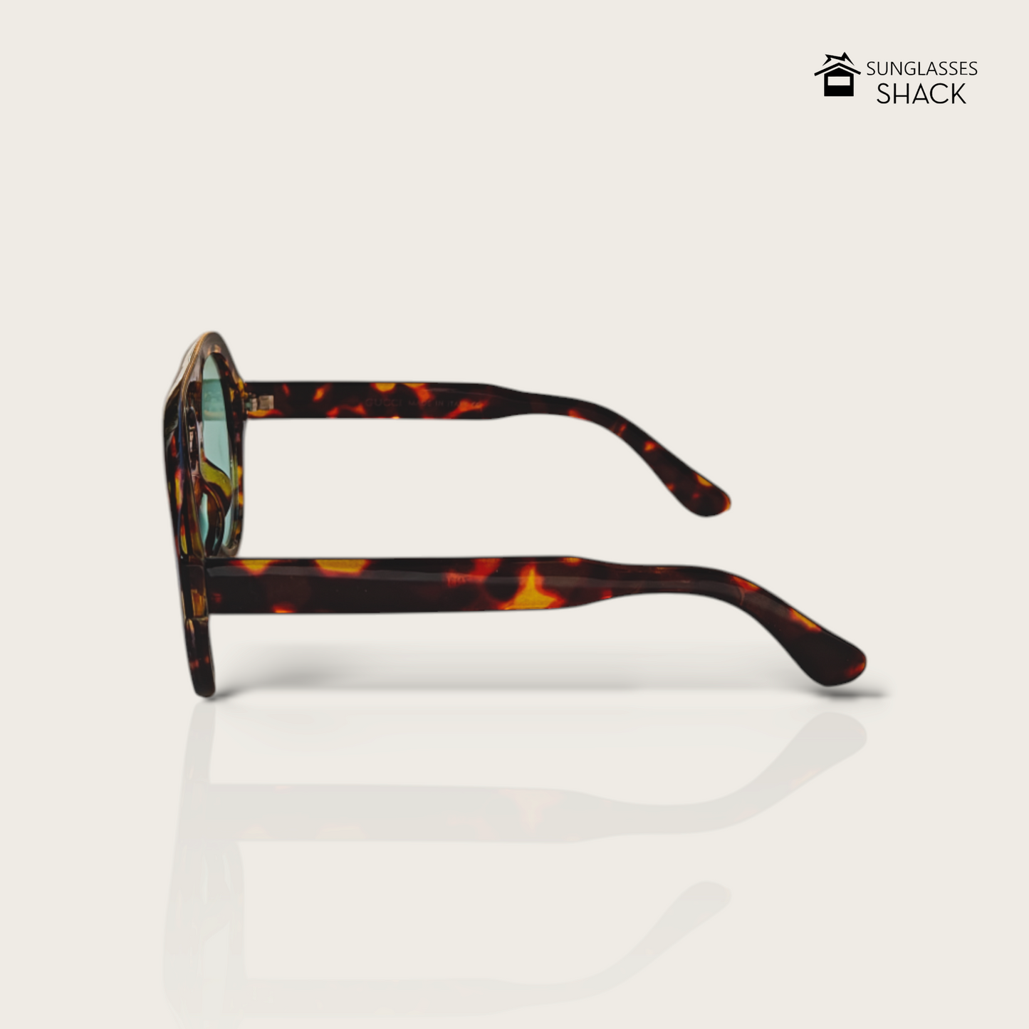 OCEANIC TORTOISE - OVERSIZED